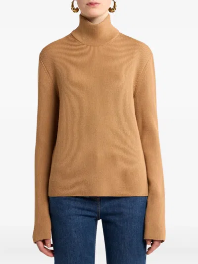Etro Ribbed Knit Turtleneck Wool Sweater In Brown