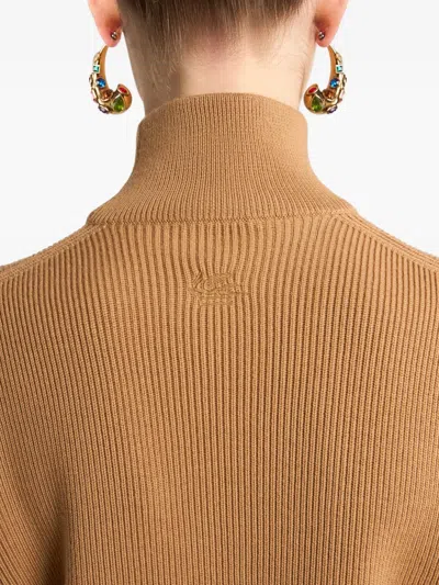 Etro Ribbed Knit Turtleneck Wool Sweater In Brown