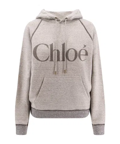 Chloé Cotton Blend Logo Hoodie In Brown
