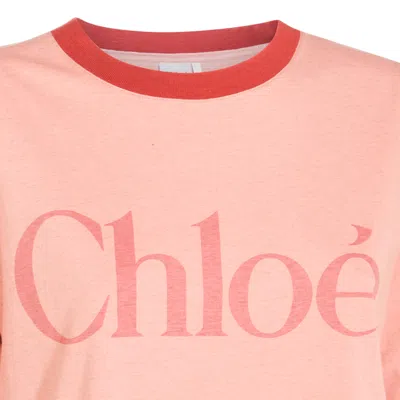 Chloé Pink Cotton T-shirt With Logo In Pink