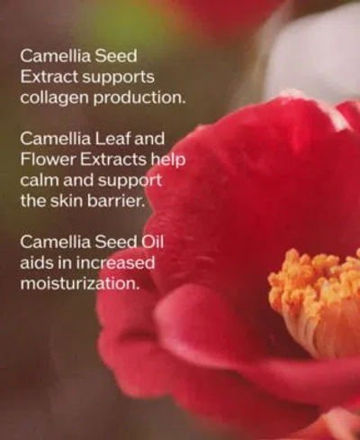 Shiseido Ultimune Power Infusing Serum 4.0 2.5 Oz/75 ml