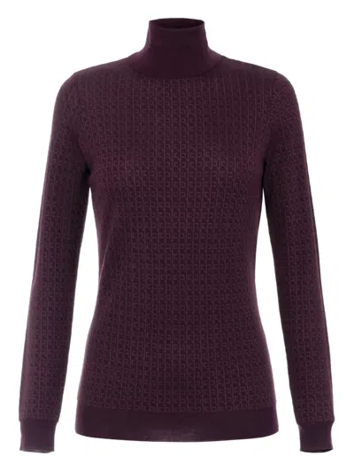 Elisabetta Franchi Tricot Sweater In Brown