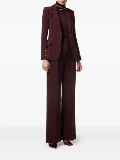 Elisabetta Franchi Tricot Sweater In Brown