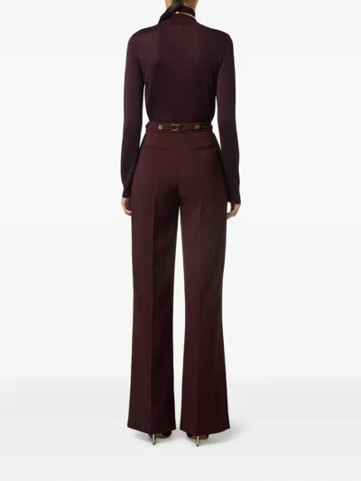 Elisabetta Franchi Tricot Sweater In Brown