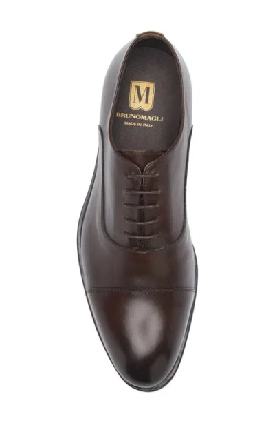 M By Bruno Magli Adrian Cap Toe Oxford