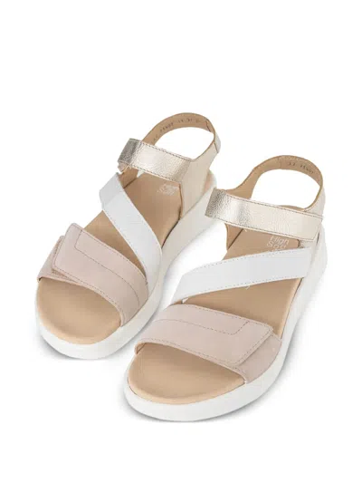 Ara Madeira Sandals In Multi