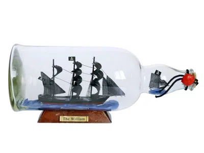 Handcrafted Cast Iron Calico Jack's The William Model Ship In A Glass Bottle 11"