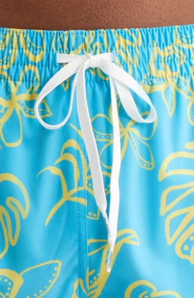 Chubbies Men's Arboretum 5.5" Swimsuit In Blue