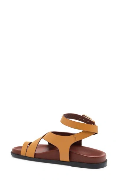Free People Anya Ankle Strap Toe Loop Sandal In Brown