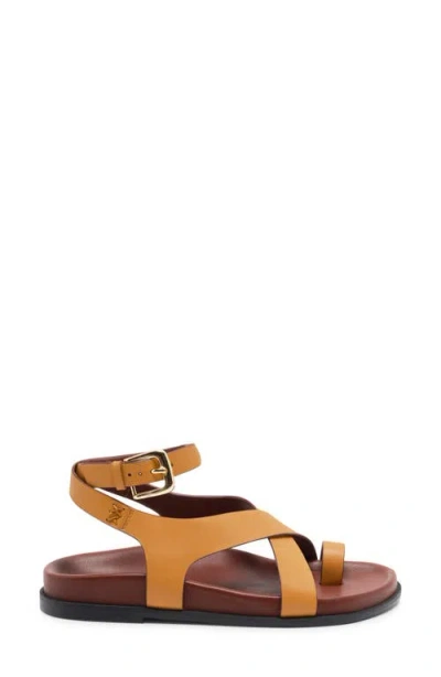 Free People Anya Ankle Strap Toe Loop Sandal In Brown