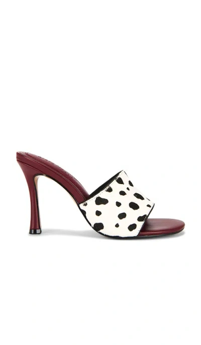 Steve Madden Paula-a Sandal