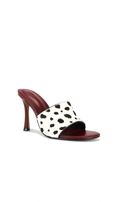 Steve Madden Paula-a Sandal