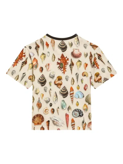 Dolce & Gabbana Shell-print T-shirt In Neutral