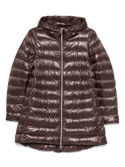 Herno Chocolate Colored Quilted Down Jacket In Brown