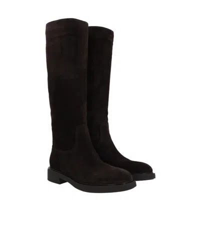 Gianvito Rossi Dark Brown Suede Ascott Boots In Black