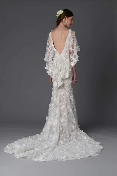 Marchesa Daffodil