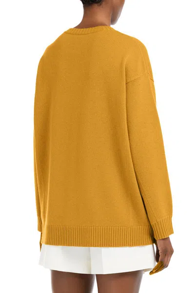 Max Mara Fido Crew Neck Embroidered Knit Sweater In Brown