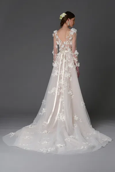 Marchesa Orchid