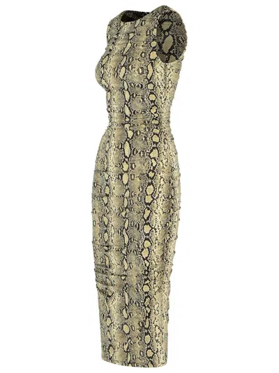 Michael Kors Snake Print Sleeveless Midi Dress In Gray