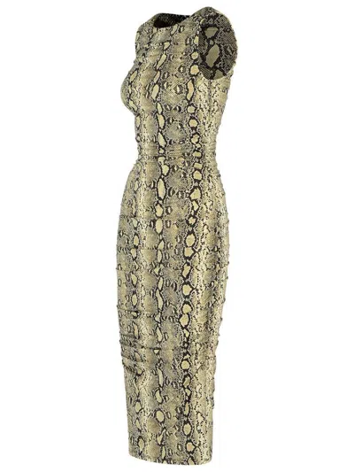 Michael Kors Snake Print Sleeveless Midi Dress In Gray