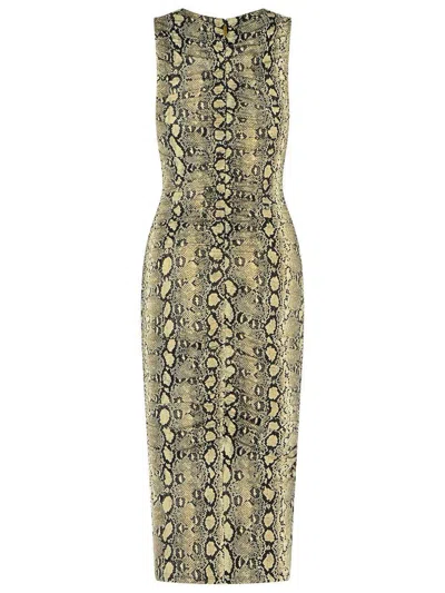 Michael Kors Snake Print Sleeveless Midi Dress In Gray