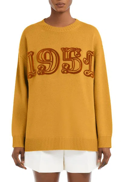 Max Mara Fido Crew Neck Embroidered Knit Sweater In Brown