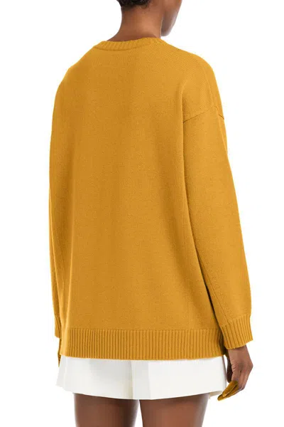 Max Mara Fido Crew Neck Embroidered Knit Sweater In Brown