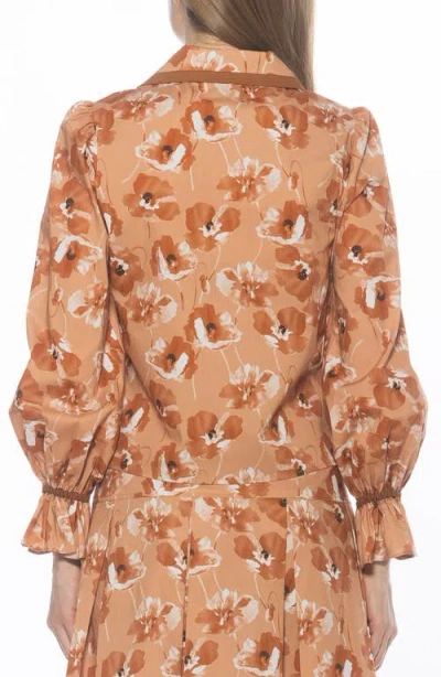 Alexia Admor Shannan Tipped Collar Button-up Shirt In Brown