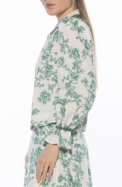 Alexia Admor Shannan Tipped Collar Button-up Shirt In Green