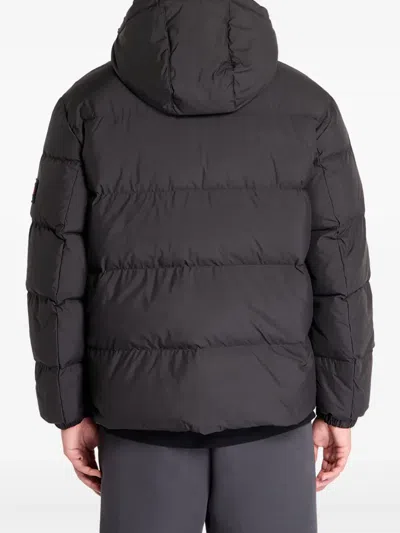 Tommy Jeans Essential Down Jacket In Blue
