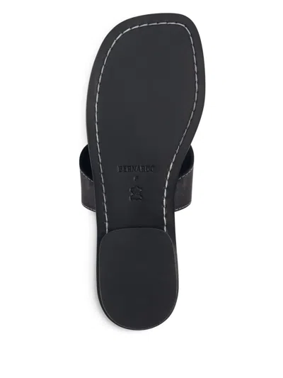 Bernardo Agora Thong Leather Sandals In Black