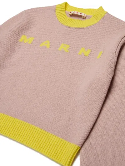 Marni Pullover Mit Rundhalsausschnitt In Pink