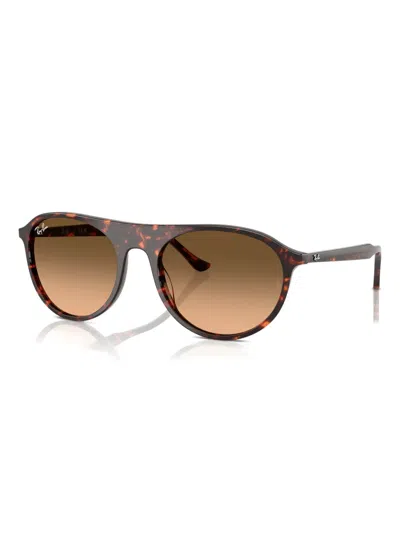Ray Ban Ray In Brown