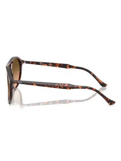 Ray Ban Ray In Brown