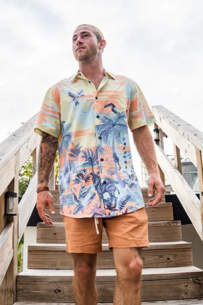 Baja Llama Time Before Land In Multi