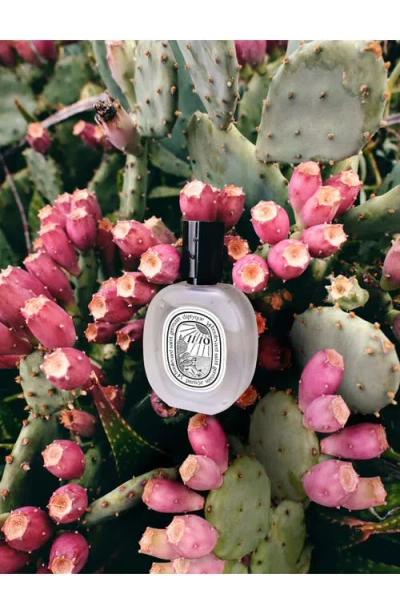 Diptyque Ilio Hair Mist