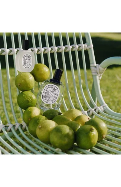 Diptyque Ilio Hair Mist