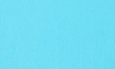 Roxy Sd Beach Classics High Cut Bikini Bottoms In Blue