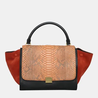 Pre-owned Celine Multicolor Python Trapeze Tote Bag