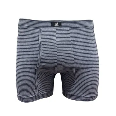 Zd Zero Defects Men's Sailor Fly Front Boxer – Striped Print & Ergonomic Design – Color Denim Blue