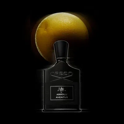 Creed Absolu Aventus