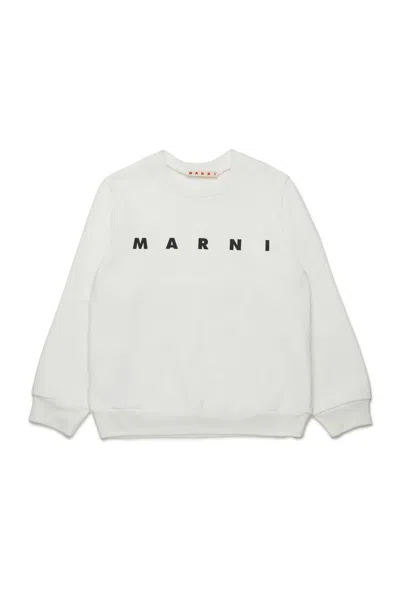 Marni Kids Logo-printed Crewneck Sweatshirt In Animal Print