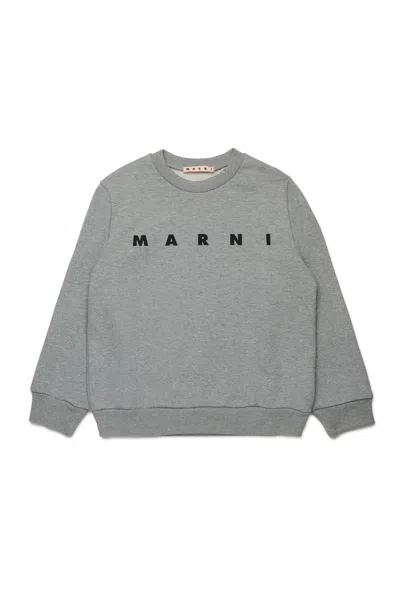 Marni Felpa Girocollo Con Logo  In Gray