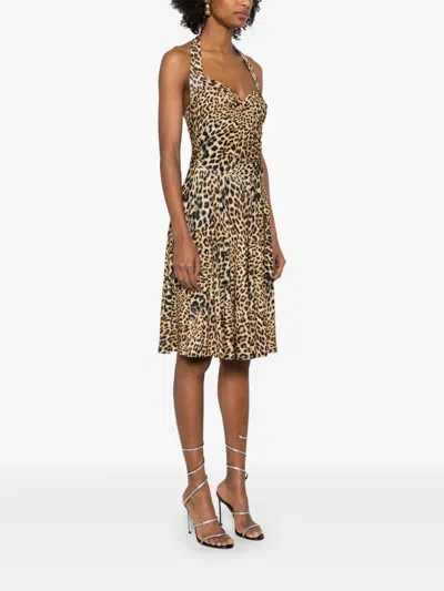 Norma Kamali Cayla Midi Dress