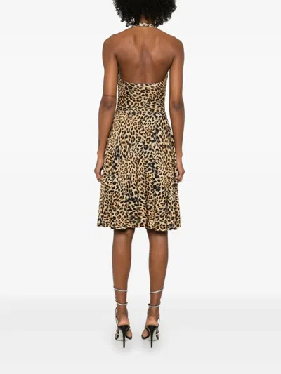 Norma Kamali Cayla Midi Dress