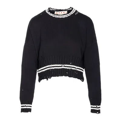 Marni Roundneck Crewneck Crop Distressed Ribbed Contrast