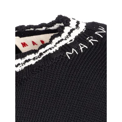 Marni Roundneck Crewneck Crop Distressed Ribbed Contrast