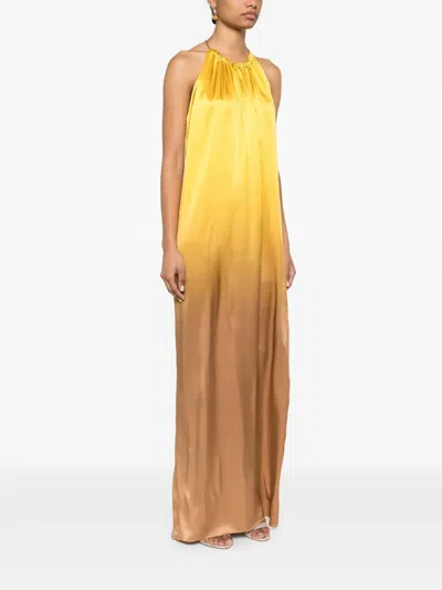 Max Mara Halter Neckline Backless Dress In Multi