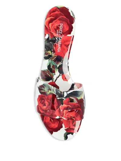 Dolce & Gabbana Floral Pattern Flat Sandals In Multi