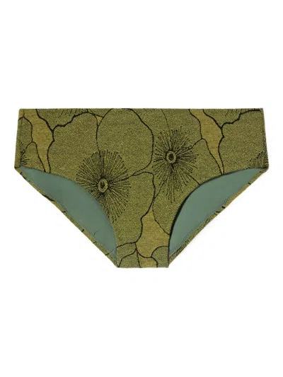 BOY 花卉印花比基尼三角裤